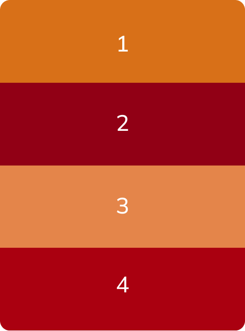 SET DARK LIPS BY CAROLINA ALFONZO IN THE GIFT BOX - PMU Master Boutique