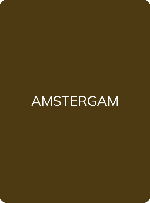 MINERAL PIGMENT EYEBROWS № 2 "AMSTERDAM" - PMU Master Boutique
