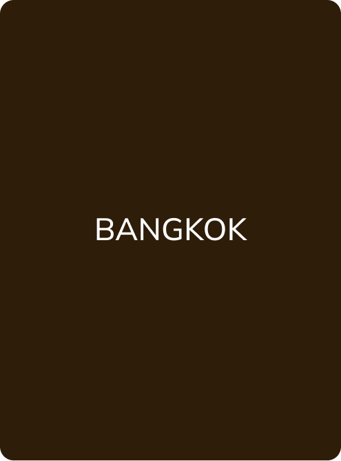 MINERAL PIGMENT EYEBROWS № 4 "BANGKOK" - PMU Master Boutique