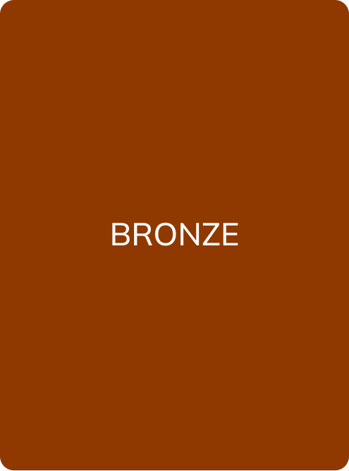 BRONZE - PMU Master Boutique