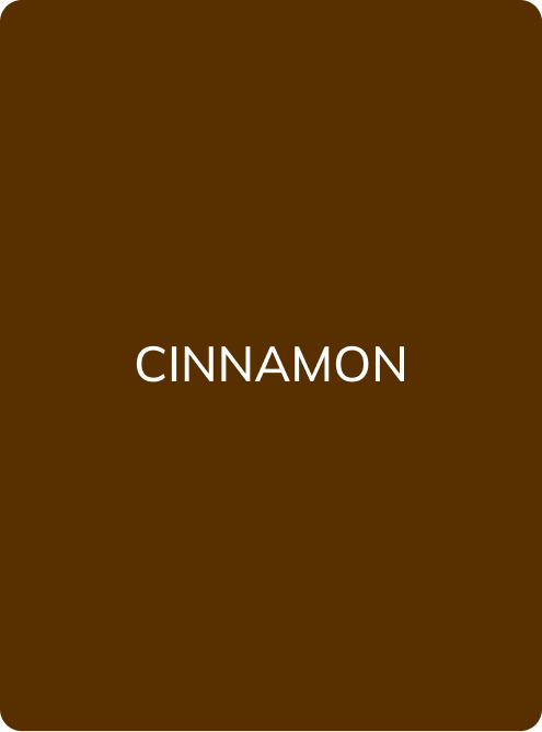 CINNAMON - PMU Master Boutique