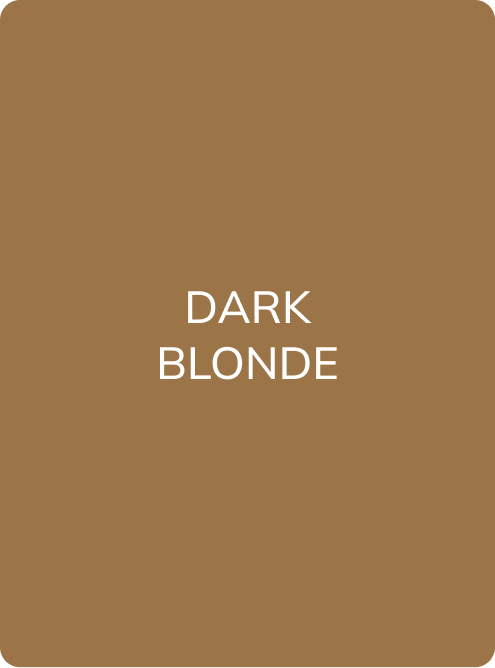 EYEBROW PIGMENT #2. DARK BLONDE - PMU Master Boutique