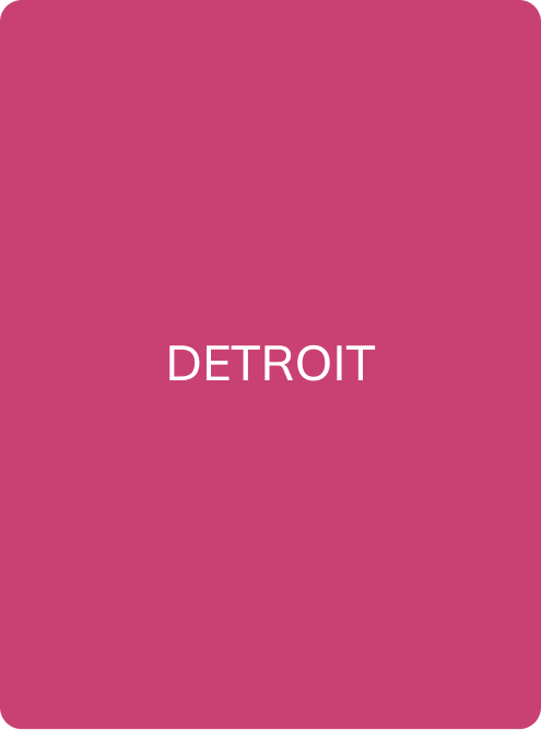 DETROIT - PMU Master Boutique