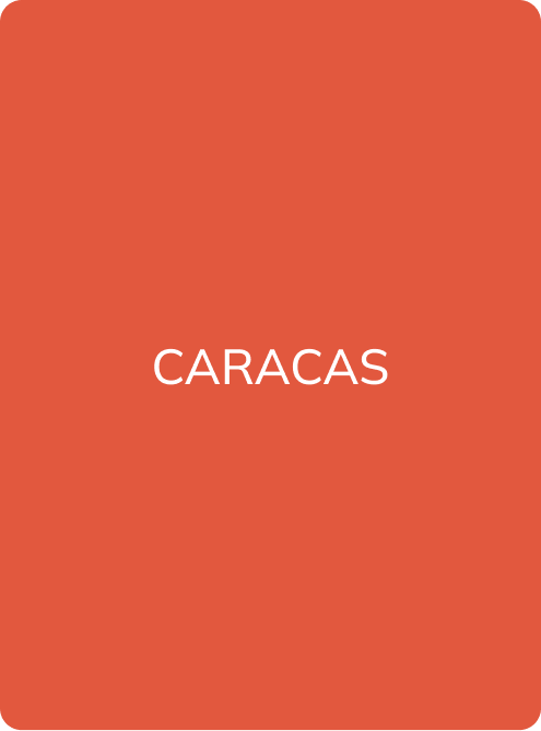 LIP PIGMENT DARK LIPS 1 CARACAS - PMU Master Boutique