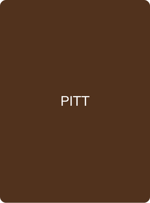 PITT - PMU Master Boutique