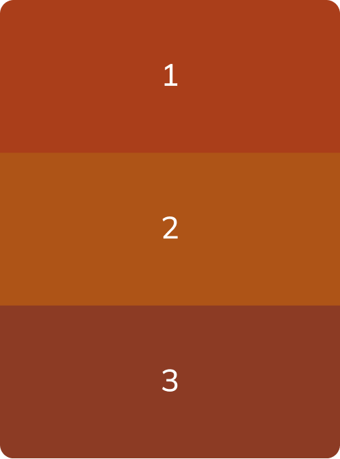 SET AREOLA PRO BY PAVEL SOMOV - PMU Master Boutique