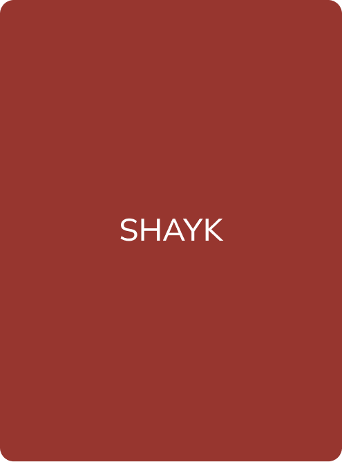 SHAYK - PMU Master Boutique