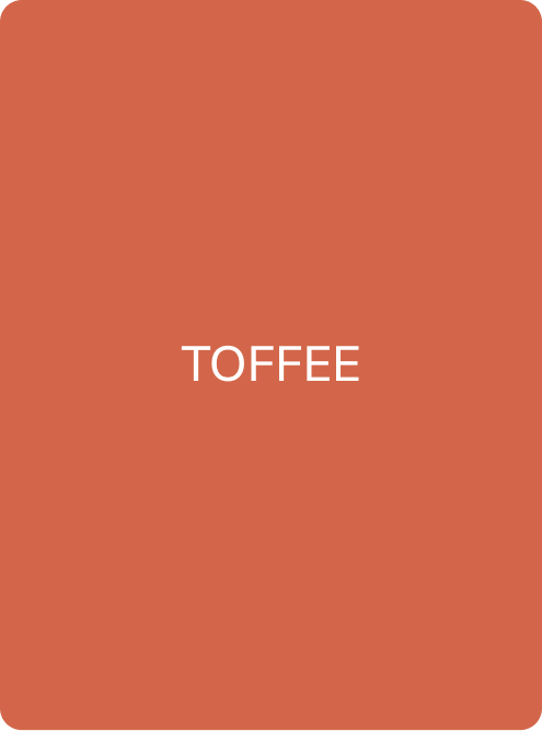 TOFFEE - PMU Master Boutique