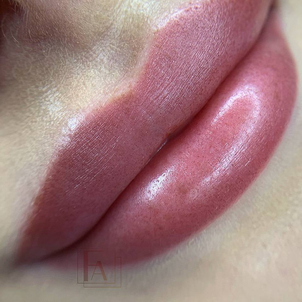 Glossy brown-red lip blush with FACE Shayk, fresh result