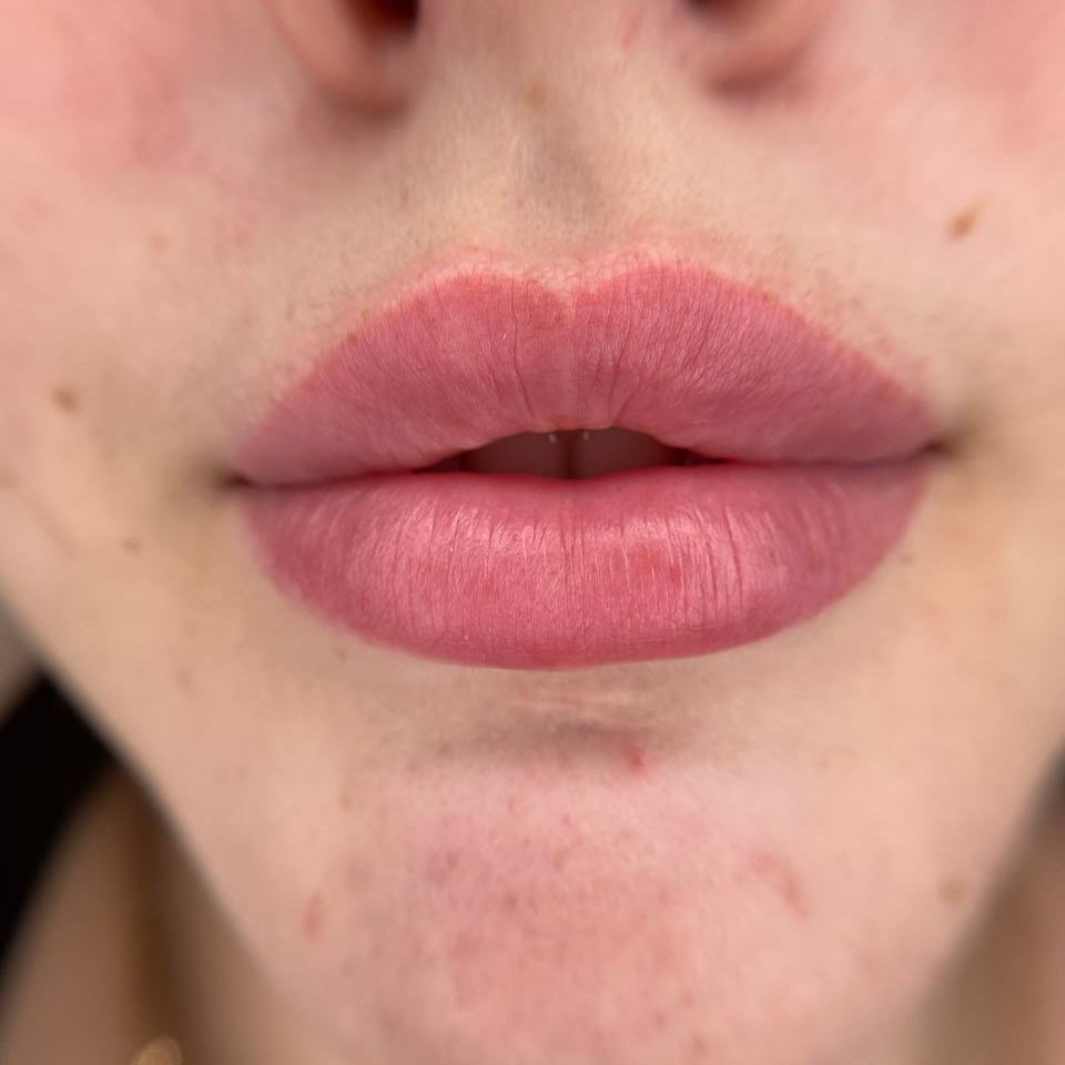 Healed lip blush with a FACE Brownie, Tyra and Marsala pigment mix