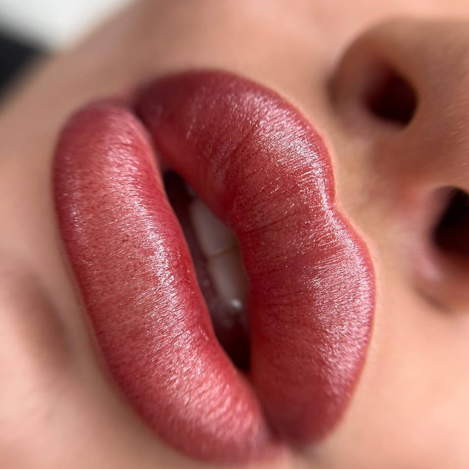 Brick-red lips done with FACE Shayk Organic Love lip pigment
