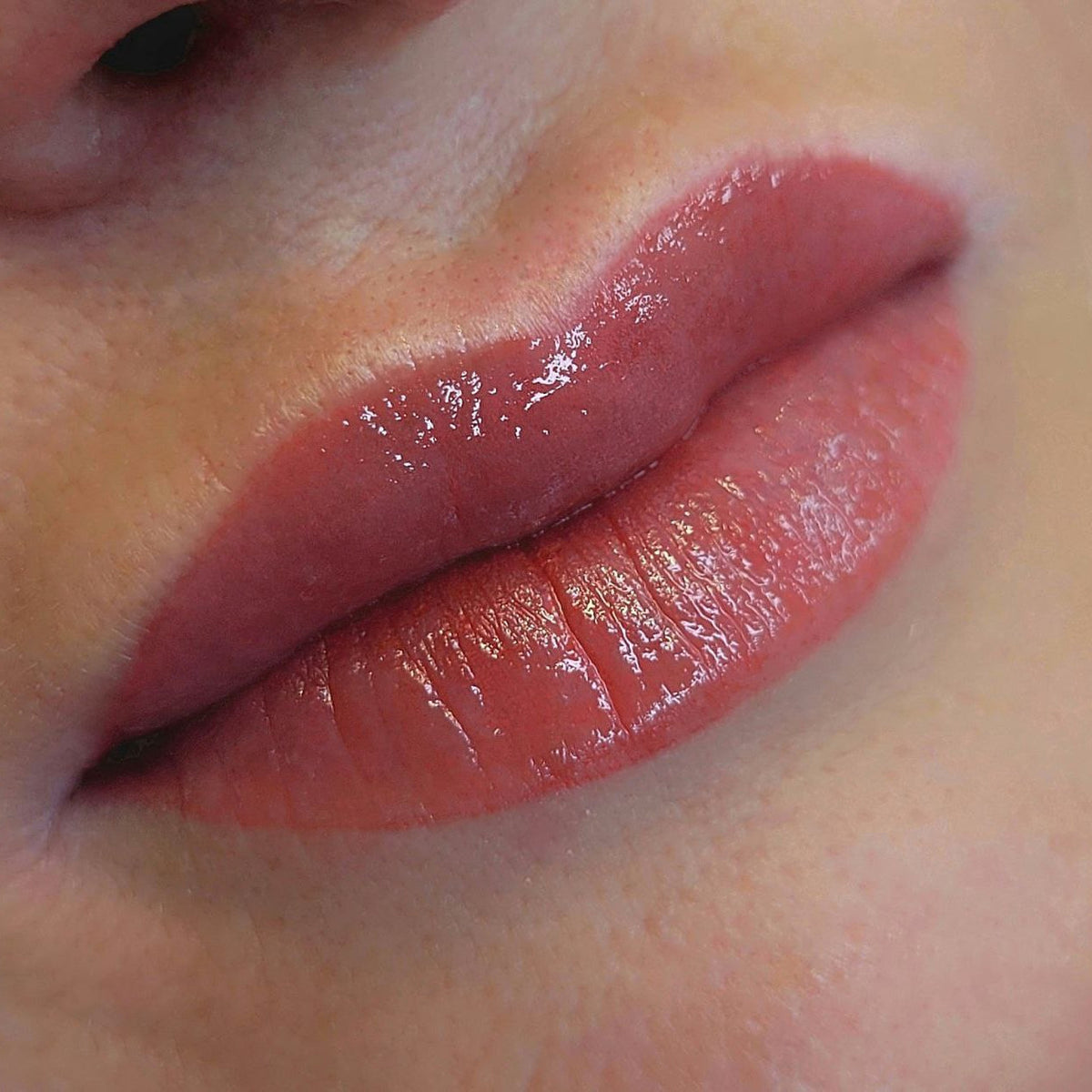 Lip PMU with a FACE Blush, Granate and Toffee pigment mix