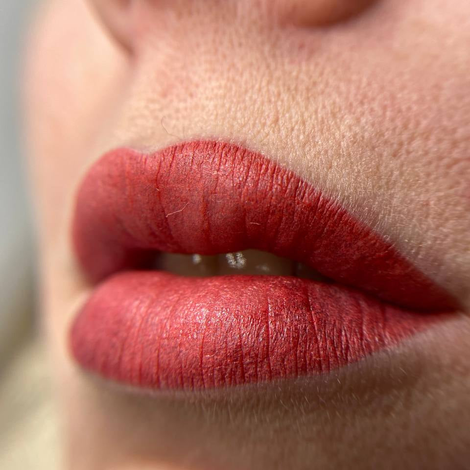 Lip PMU with FACE Sherbet used pure