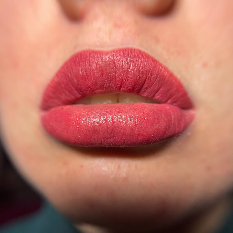 Lip PMU with a FACE Blush, Jolie and Caramel pigment mix
