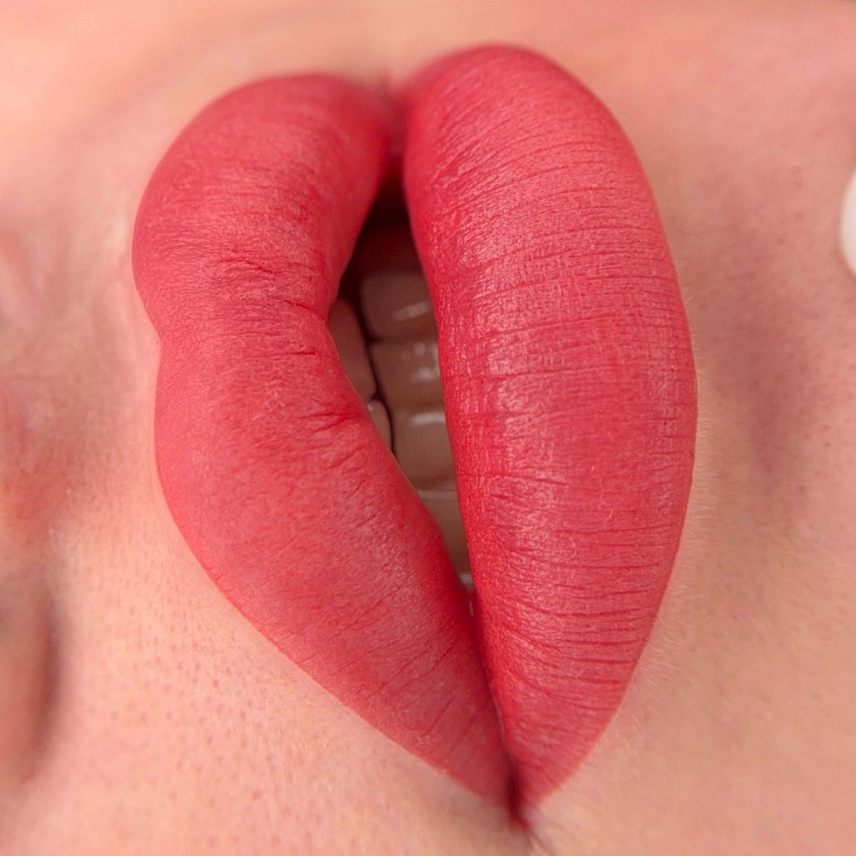 Lip PMU with FACE Last Love hybrid lip pigment used pure
