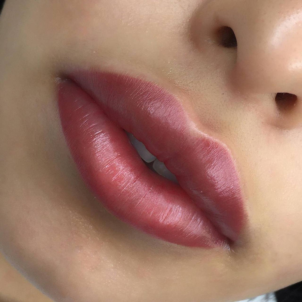 Lip blush with a FACE Paris, Jennifer and Tokyo pigment mix