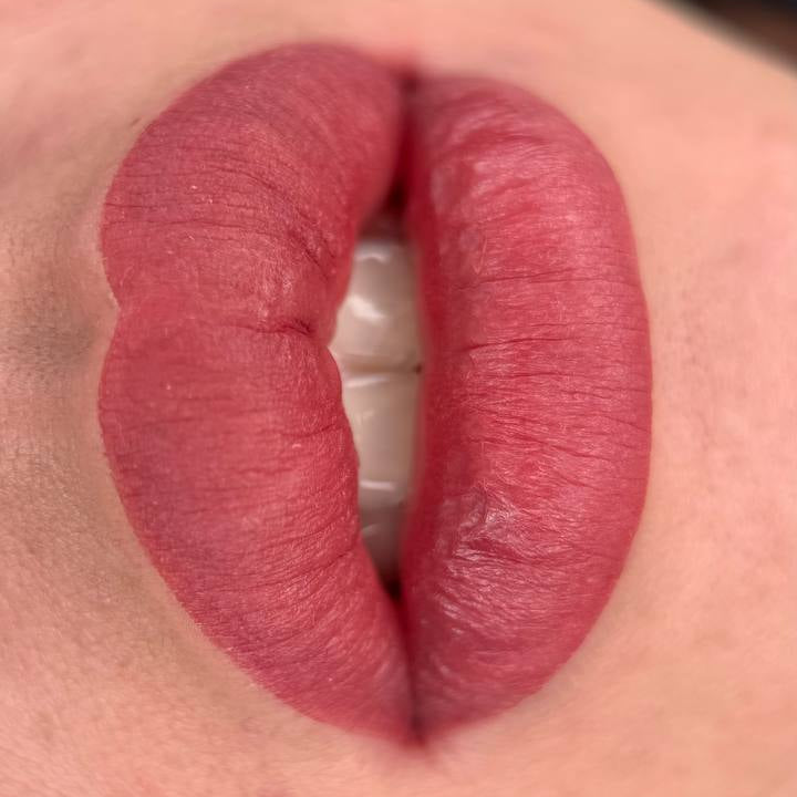 Lip PMU with a FACE Marsala, Sugar and Shayk pigment mix