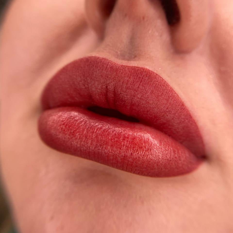 Deep red-brown lips with FACE Charlotte used pure