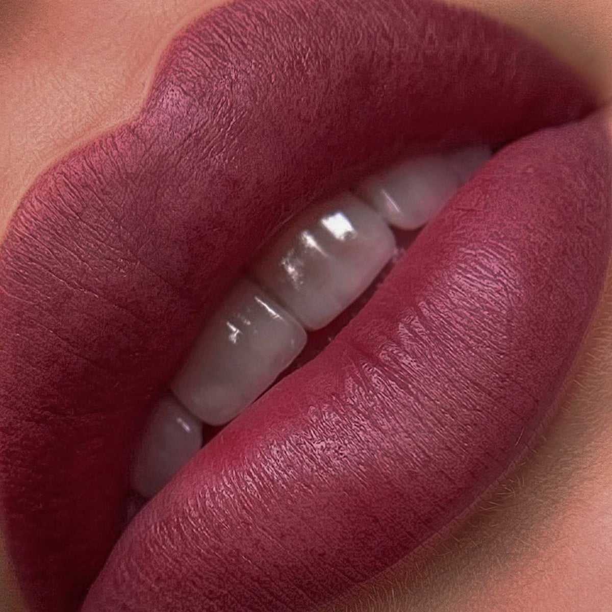Lip PMU with a FACE Cherry, Detroit and Shayk pigment mix