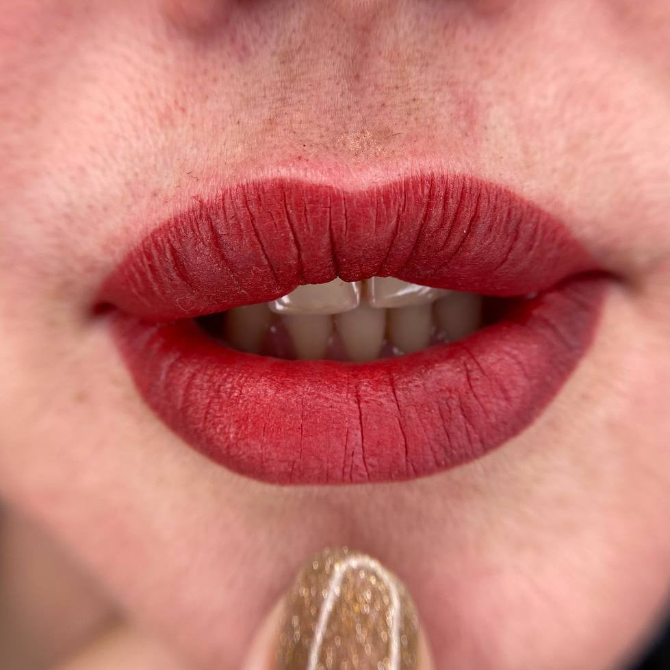 Red lip blush with FACE Bellucci and Megan diluted with FACE Pigment Thinner