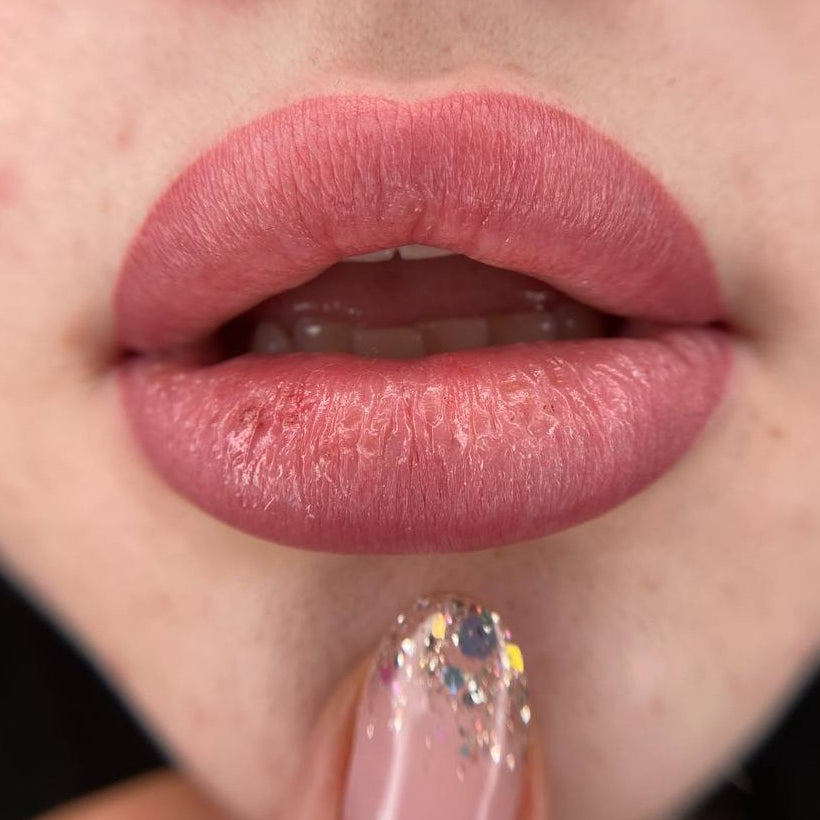 Healed lip blush with a FACE Viktoria, Tyra and Caramel pigment mix