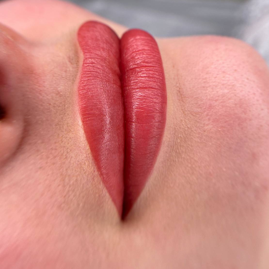 Lip blush with FACE Caramel, Shayk and Tyra diluted with FACE Pigment Thinner