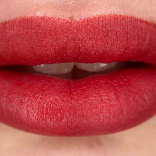 Juicy red-pink lips with FACE Megan used pure
