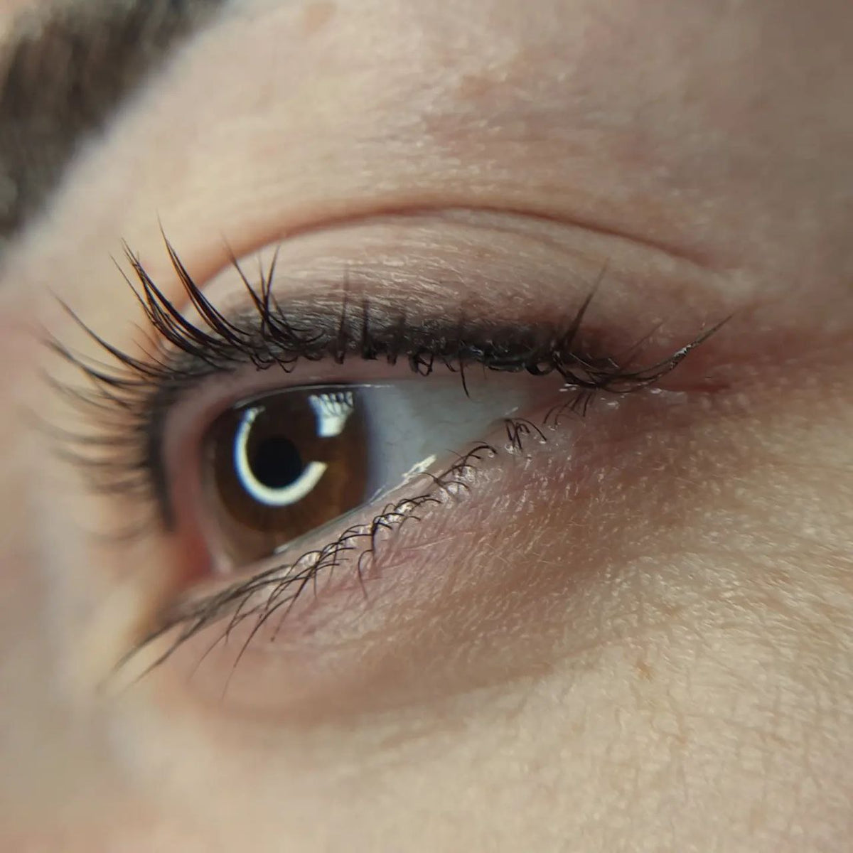 Healed brow and lash-line PMU with FACE Keanu, Orange, Space and Johnny