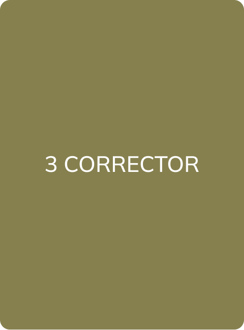 3 CORRECTOR - PMU Master Boutique 