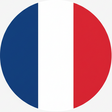 французский флаг в форме круга