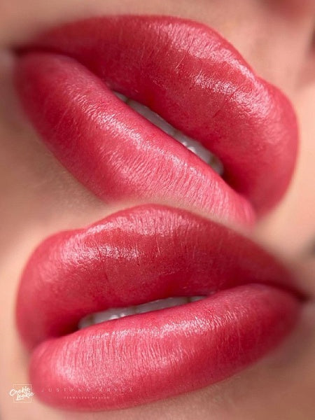 ASCompany L4 Guava 6 ml – Lip Pigment PMU (Opium Colors)