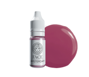 FACE Pigment – Amsterdam (Hybrid Line Lip Pigment)