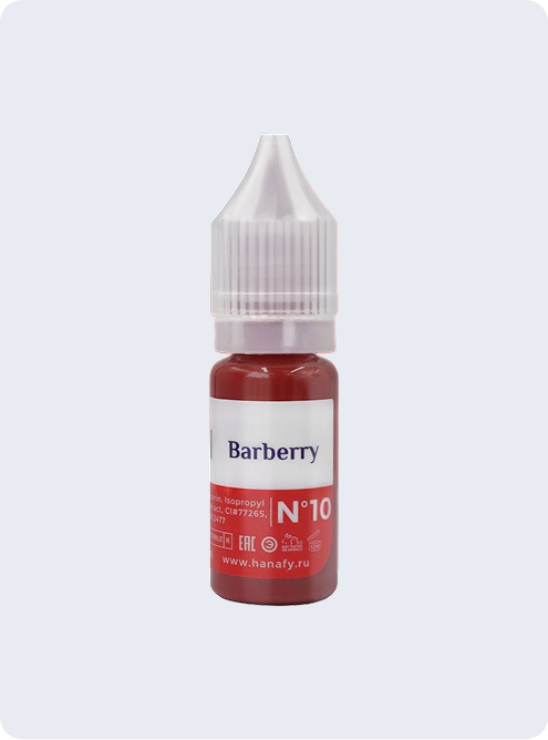 LIP PIGMENT 10 BARBERRY - PMU Master Boutique 