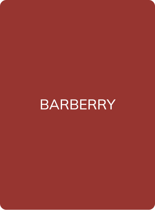 LIP PIGMENT 10 BARBERRY - PMU Master Boutique 