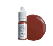 FACE Pigment – Brick (Hybrid Line Brow Corrector)