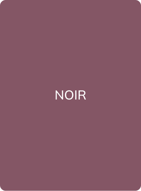 NOIR - PMU Master Boutique 