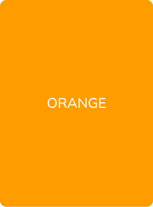 ORANGE - PMU Master Boutique 