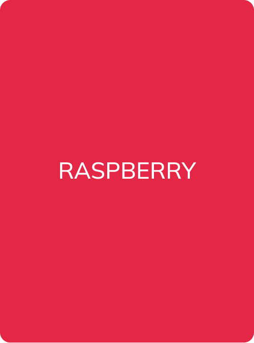 FACE Pigment – Raspberry (Hybrid-Lippenpigment)