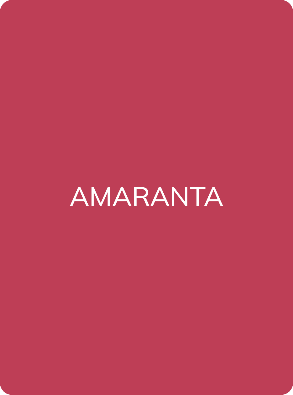 AS Company Amaranth concentrate lip pigment colour swatch card with shade name
