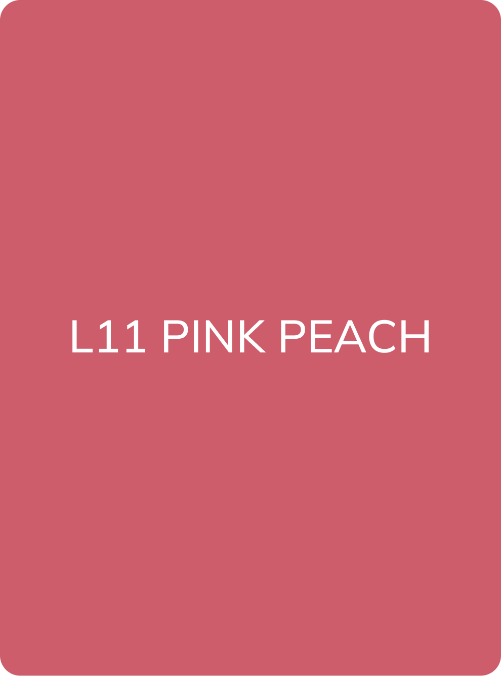 AS Company L11 Pink Peach lip pigment, solid colour swatch card with shade name