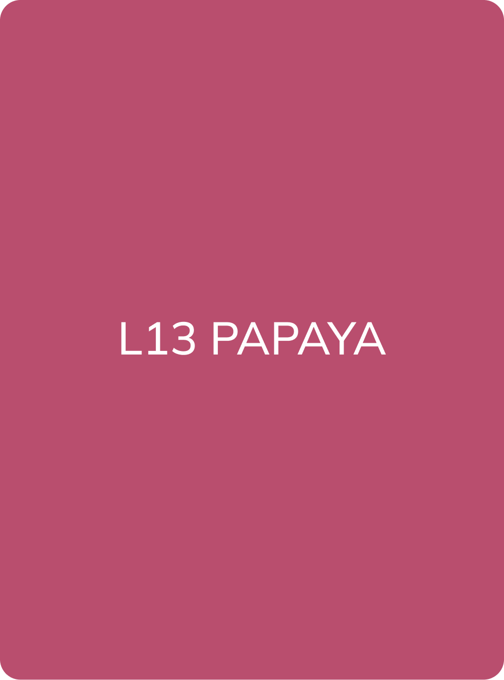AS Company L13 Papaya lip pigment colour swatch card with shade name