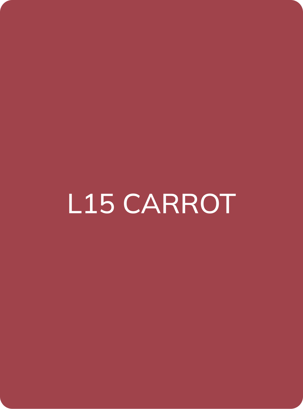 AS Company L15 Carrot lip pigment colour swatch card with shade name