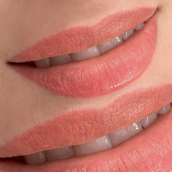 AS Company L17 Geisha Opium Colors lip pigment, product detail