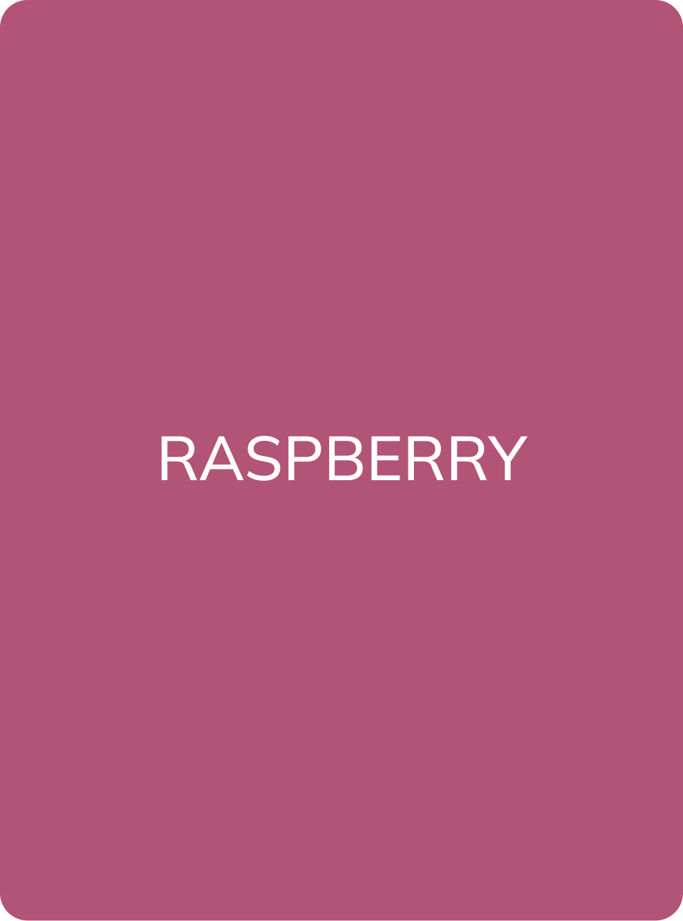 AS Company Raspberry concentrate lip pigment colour swatch card with shade name
