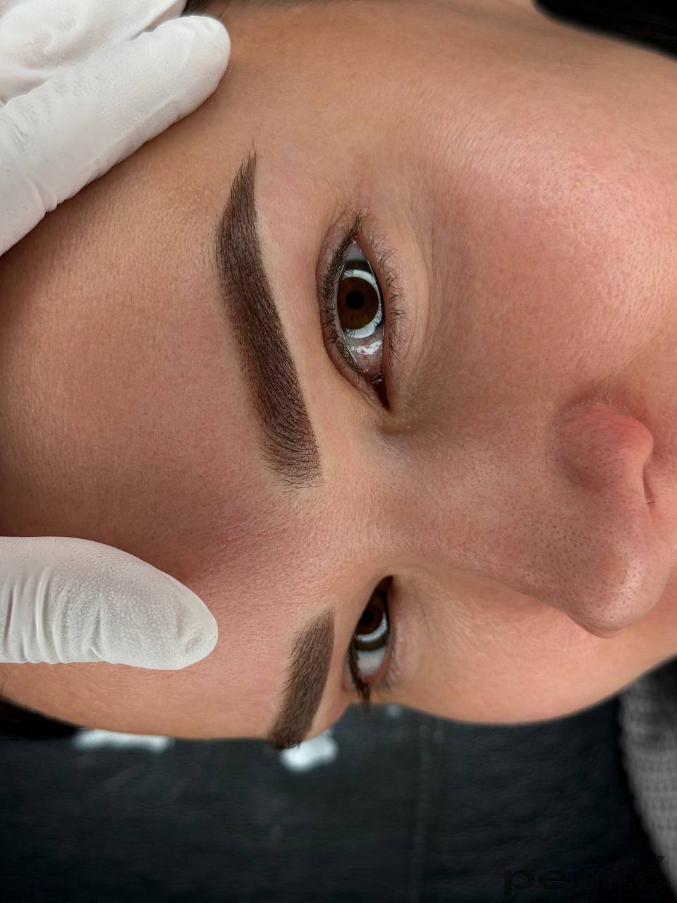 Biocolors brow pigments for permanent makeup, product information