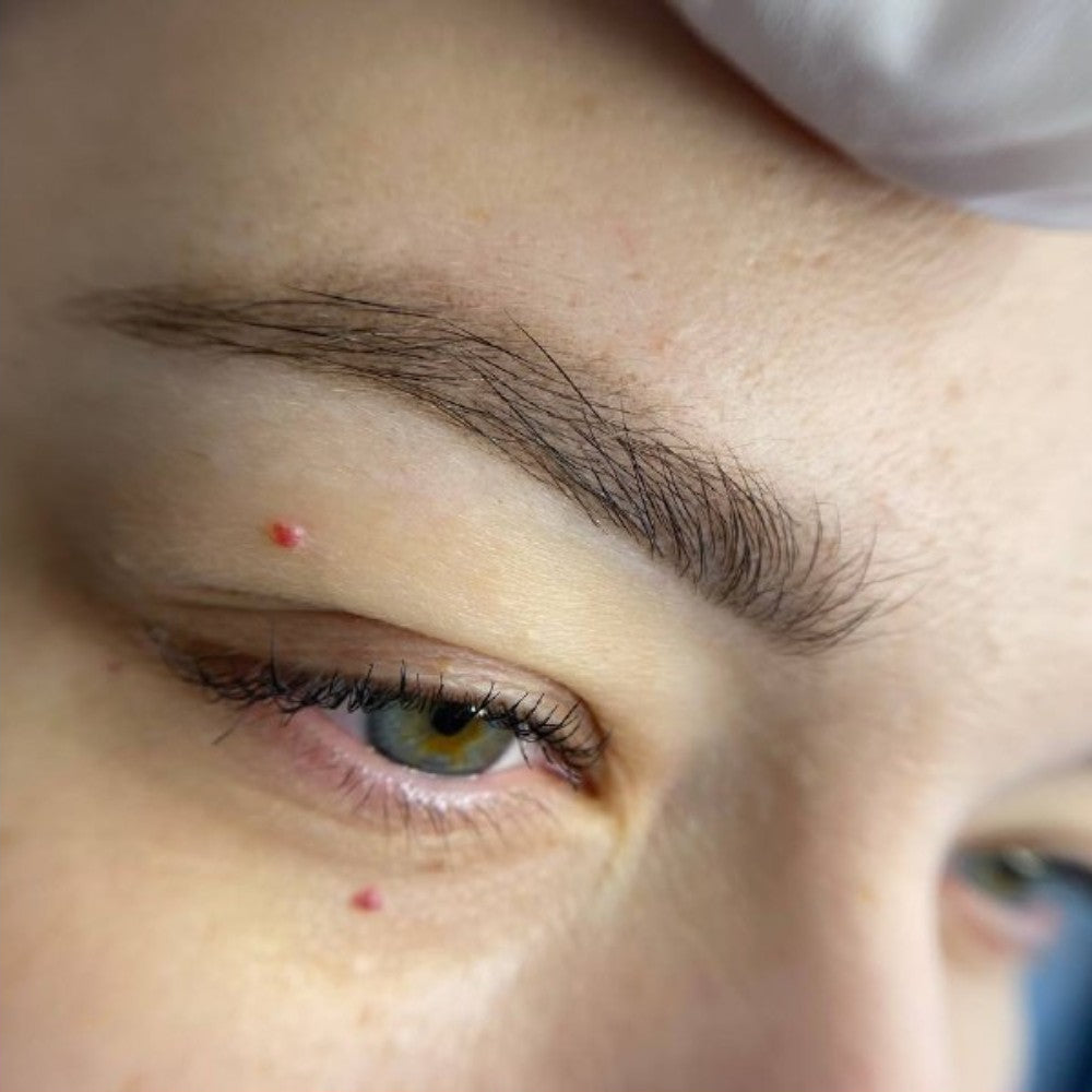 Healed brow PMU with a FACE Mocco and Brick pigment mix