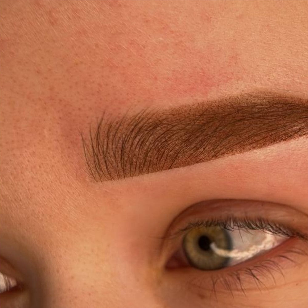 Brow PMU with a FACE Cinnamon and Brick pigment mix