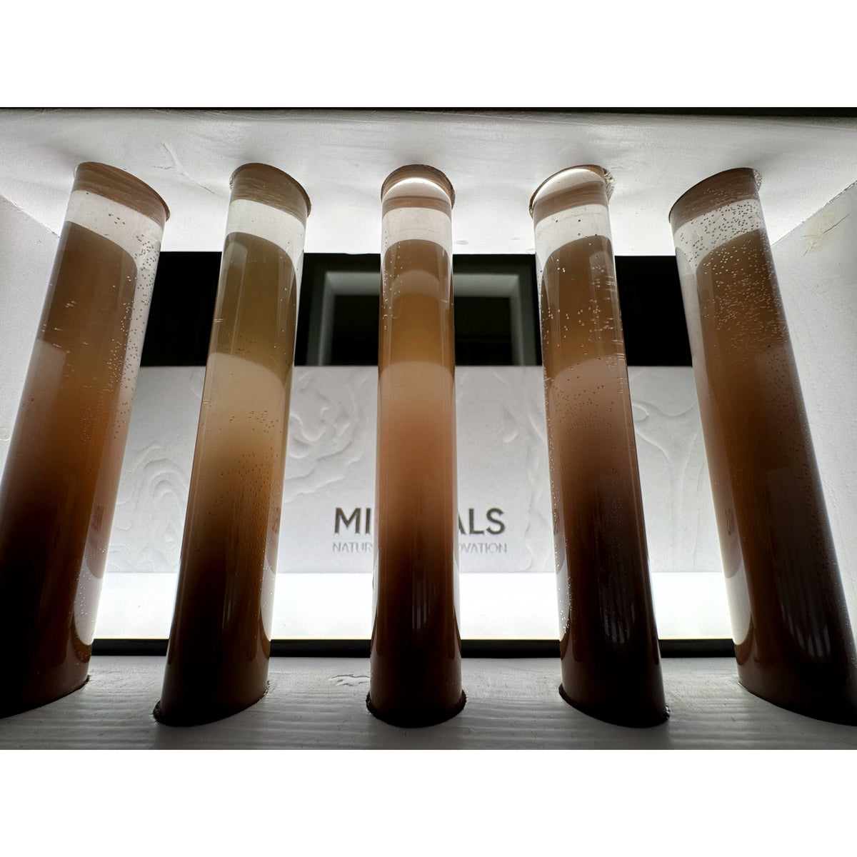 FACE Minerals Augenbrauenpigmente in Reagenzgläsern, fünf Farbtöne