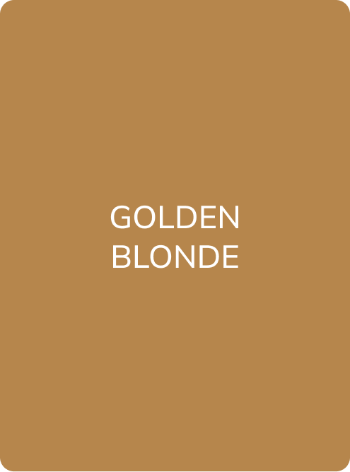 Hanafy Eyebrow Pigment No.1 Golden Blonde, product detail