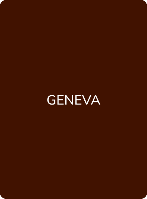 Hanafy Eyelid Pigment No.3 Geneva, product detail